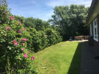 tuin en terras